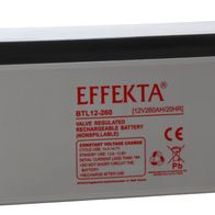 Effekta BTL 12 260 Blei Vlies Akku AGM VRLA 12V 260Ah Kaufen Bei Hood De