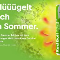 Red Bull Summer Edition Curuba Holunderblüte 2024 1 x 250 ml kaufen