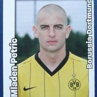 Bundesliga - 2008/2009, Borussia Dortmund - Mladen Petric
