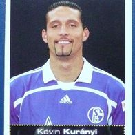 Bundesliga Fußball - 2007/2008, FC Schalke 04 - Kevin Kuranyi