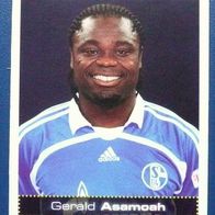 Bundesliga Fußball - 2007/2008, FC Schalke 04 - Gerald Asamoah