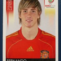 Euro 2008, Fernando Torres - Spanien