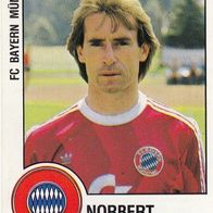 Panini Fussball 1988 Norbert Eder Bayern München Bild Nr 240