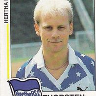 Panini Fussball 1991 Thorsten Gowitzke Hertha BSC Berlin Nr 112
