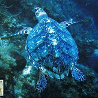 Wasserschildkröte - Schmuckblatt 8.1