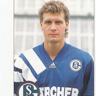 Panini Fussball 1995 Hendrik Herzog FC Schalke 04 Nr 223