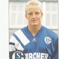 Panini Fussball 1995 Michael Büskens FC Schalke 04 Nr 229