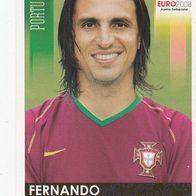 Panini Fußball Euro 2008 Fernando Meira Portugal Bild Nr 107