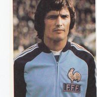 Bergmann Fußball WM 1978 Michel Frankreich Nr 84