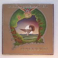 Barclay James Harvest - Gene To Earth , LP - Polydor 1977