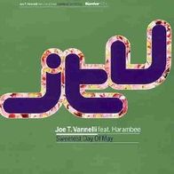 Joe T. Vannelli - Sweetest Day Of May / URBAN