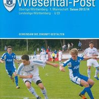 PRG FV 1893 Ravensburg vs Stuttgarter Kickers II/2 28. 9. 2013 Stuttgart Wiesental