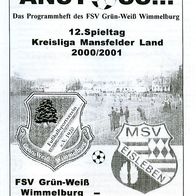 PRG FSV Grün-Weiß Wimmelburg -MSV Eisleben II 18.11.2000 Mansfelder Land Fußball