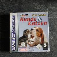 Hunde und Katzen, Game Boy Advance