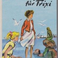 Schneider Buch Frohe Tage für Trixi