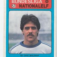 Americana Bundesliga / Nationalelf Michael Schüssler SV Chio Waldhof Nr 459