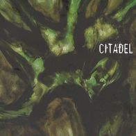 Citadel - Pluies Acides CD S/ S