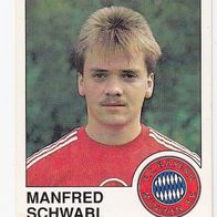 Panini Fussball 1990 Manfred Schwabl FC Bayern München Nr 247
