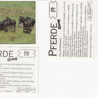 Panini Pferde 1999 Bild 1 - 180 Sie bieten auf ein Bild