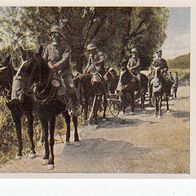 Der Weltkrieg 1914 - 1918 Gasschutz für Pferde Bild Nr 201