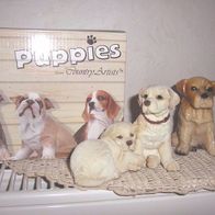 Country Artists Tierfiguren 3 Hunde Labrador Welpen Puppy, NEU ! in OVP