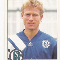 Panini Fussball 1995 Ingo Anderbrügge FC Schalke 04 Nr 232