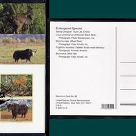 Vereinte Nationen (UNO) New York - Maximumkarte MK 83 - Mi. Nr.946 - 949 o <