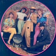 Kid Creole & The Coconuts - Tropical Gangsters LP 1982 picture disc
