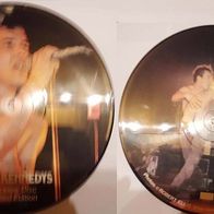 Dead Kennedys – Limited Edition Interview Picture Disc / Vinyl, LP, Picture Disc / P
