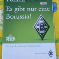 Fohlen Echo von Borussia