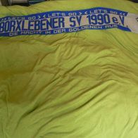 Schal Fanschal SV Borxleben / Borxlebener SV 1990 Neu