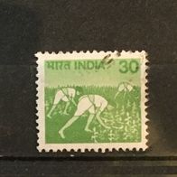 Indien MiNr. 794 gestempelt M€ 0,30 #F114b