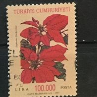 Türkei MiNr. 3125 gestempelt M€ 2,00 #F118c
