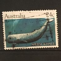 Australien MiNr. 777 gestempelt M€ 0,30 #F1210d