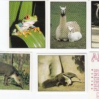 Panini 1989 Animals of The World Bild 1 - 180 Sie bieten auf ein Bild