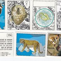 Panini 1987 WWF Bedrohte Natur Bild 1 - 360 Sie bieten auf ein Bild
