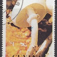 Guyana 3288 B O #024525