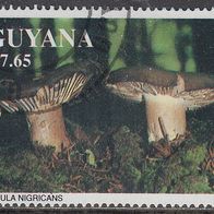 Guyana 3681 O #024529
