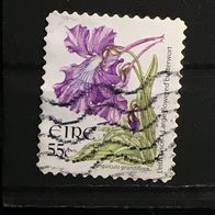 Irland MiNr. 1763A (evtl. sehr dünn/ schlecht abgelöst) gestempelt M€ 1,10 #E102a