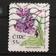 Irland MiNr. 1763A (evtl. sehr dünn/ schlecht abgelöst) gestempelt M€ 1,10 #E102d