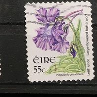 Irland MiNr. 1763A (evtl. sehr dünn/ schlecht abgelöst) gestempelt M€ 1,10 #E103a