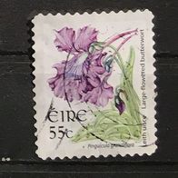 Irland MiNr. 1763A (evtl. sehr dünn/ schlecht abgelöst) gestempelt M€ 1,10 #E103c