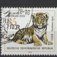 Sibirischer Tiger gest.