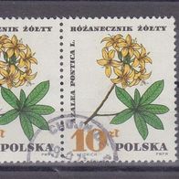 Polen Mi. Nr. 1775 - 2-fach waagerecht - Geschützte Heilpflanzen o <