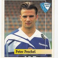 Panini Fussball Junior 95/96 Peter Peschel VFL Bochum Nr 164