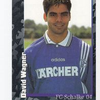 Panini Fussball 1997 David Wagner FC Schalke 04 Nr 74