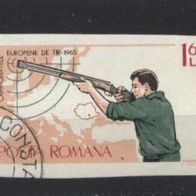 Rumänien Mi.2416 geschnitten, gest.