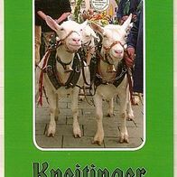 Reklame-Postkarte Brauerei Kneitinger Regensburg Oberpfalz Bayern