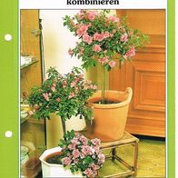Blühpflanzen kombinieren (Deko-K) - Infokarte über