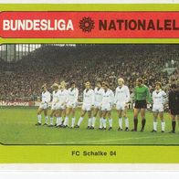 Americana Bundesliga / Nationalelf Mannschaftsbild FC Schalke 04 Nr 244